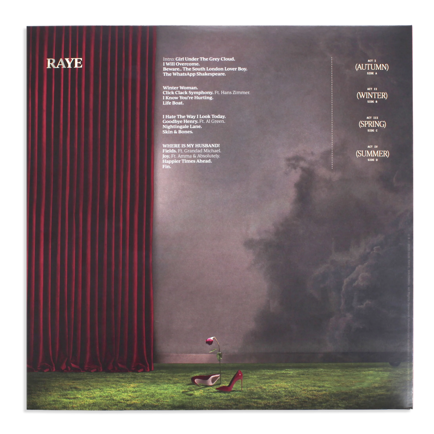 Disco de vinilo RAYE – THIS MUSIC MAY CONTAIN HOPE en portada con arte colorido, de la marca Oh My Cd!