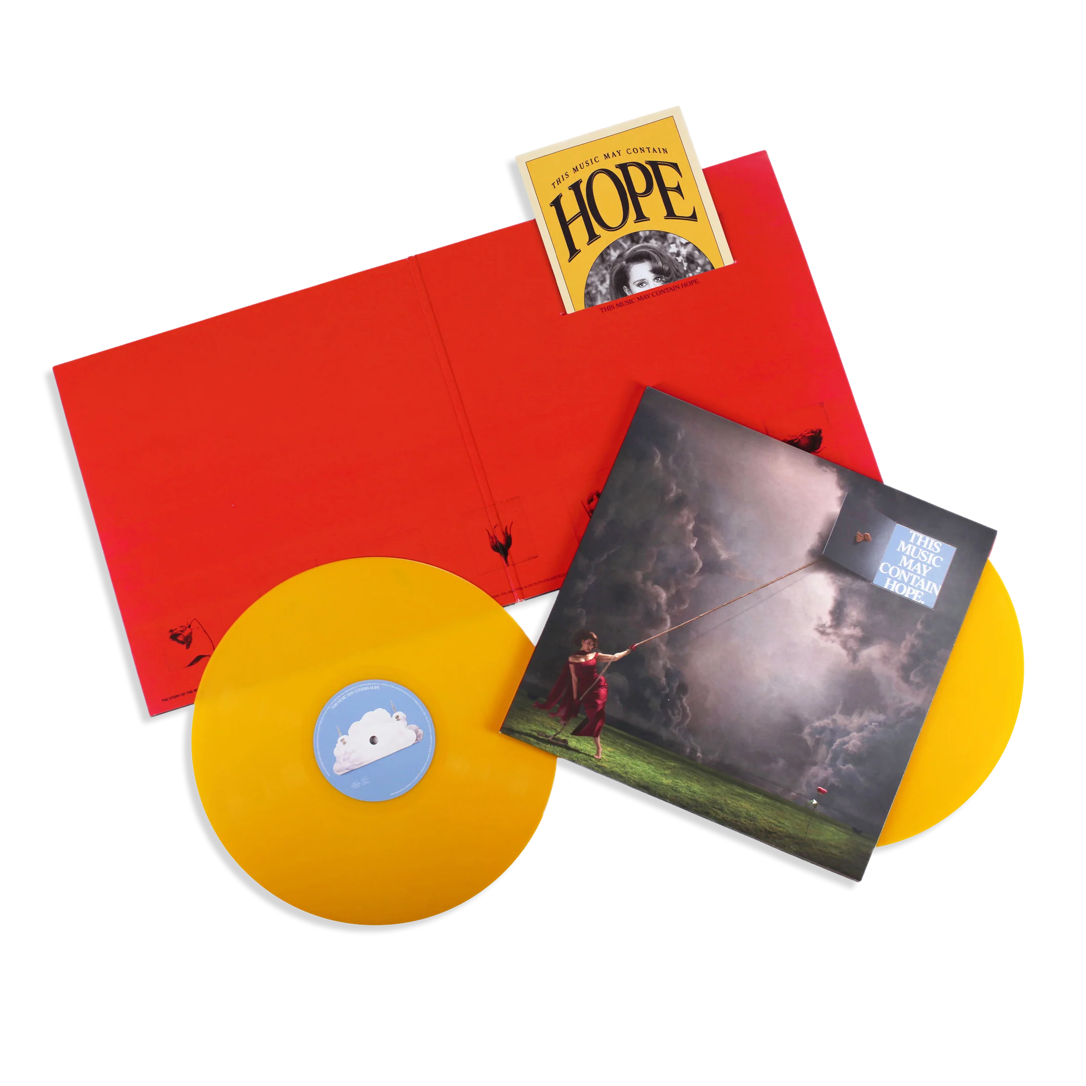 RAYE – THIS MUSIC MAY CONTAIN HOPE (VINILO)